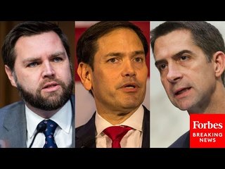 GOP Strategist Breaks Down The Candidates For Trump's Vice President Spot And Reveals His Top Choice