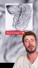 Vous la voyez ? (Exclu Dailymotion)