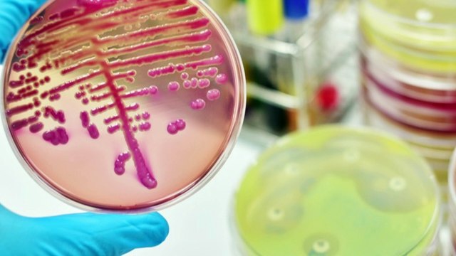 Video-intervista di Claudia Sarritzu con Cataldo Ciccolella