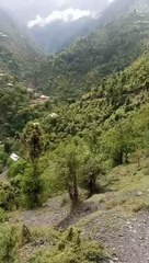 VID-20240525-WA0022