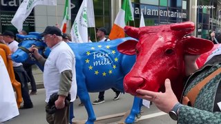 منتجو الحليب في أوروبا يطالبون المفوضية الأوروبية بأسعار حليب 