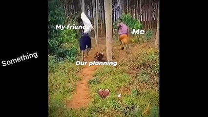 Dog vs Arabian Man Crazy Funny Moment _ Viral Videos Of The Internet 2024