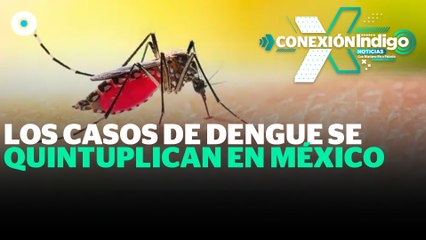 Aumentan a 13 mil casos de dengue y un fallecimiento | Reporte Indigo