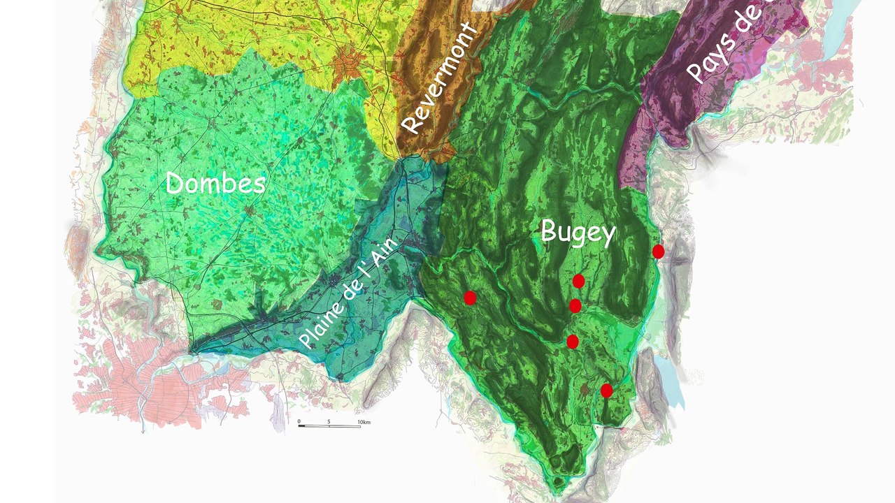 40 ans du Cinéma Rural Itinérant Bresse Revermont