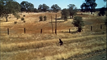 O último bravo 1954 (dual)