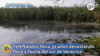 Teleftalatos lleva 30 años devastando flora y fauna del sur de Veracruz; estas héctareas son afectadas