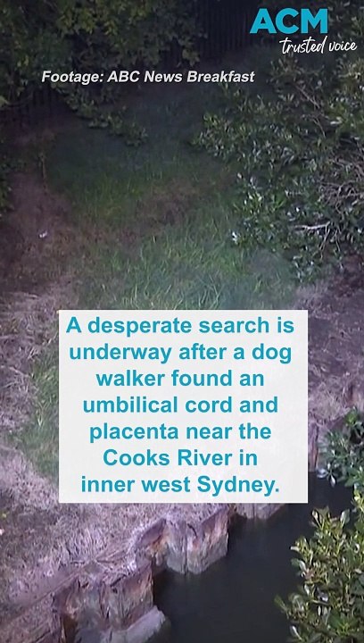 Desperate search for mother and newborn after placenta, umbilical cord found by river
