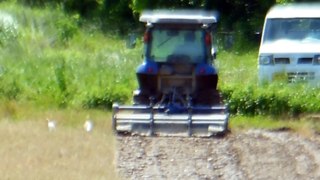 Tractor Buddies in Japan