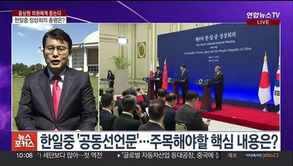 [뉴스포커스] 한일중 정상회의 '3국 협력 체제' 정상화…총평은?