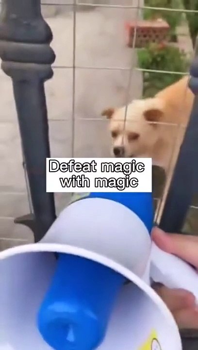 Use your enemy's weapon against him.