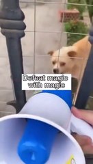 Use your enemy's weapon against him.