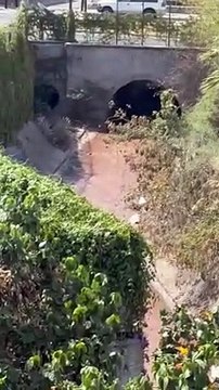 Hombre de la tercera edad fue atropellado sobre Periférico, a la altura de la colonia Jalisco, Tonalá