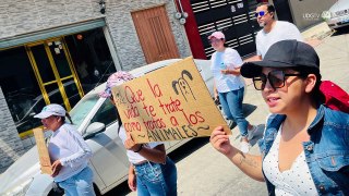 De nueva cuenta, envenenan a perros y gatos en el municipio de Zapotiltic; mueren 14