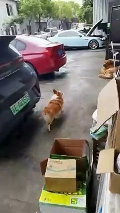 Bro likes to start a fight, and ends up having a reverse card.