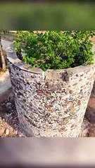 Renovation a Silo abandoned for nearly 200 years