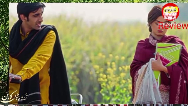 Zard Patton ka Bunn Episode 5 Promo Review Zard Patton ka bunn Pakistani Drama Sajal AliHumza_1080p