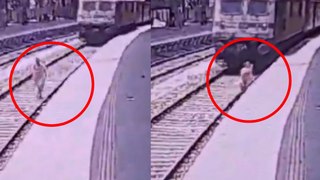 ट्रेन से कटने का LIVE वीडियो आया सामने, 33 सेकंड का यह वीडियो देख कांप जाएगी रूह