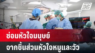 แพทย์ซ่อมหัวใจมนุษย์จากชิ้นส่วนหัวใจหมูและวัว | เที่ยงทันข่าว | 28 พ.ค.67