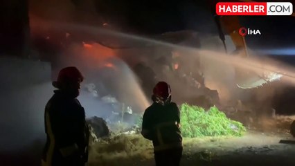 Çırçır fabrikasında yangın