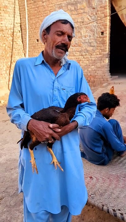 Ustad yaseen old murg baz