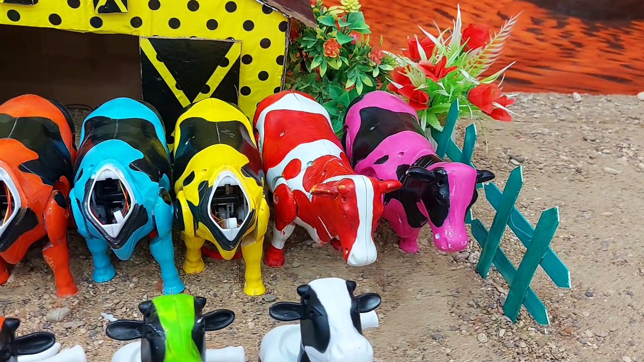 Cow fun