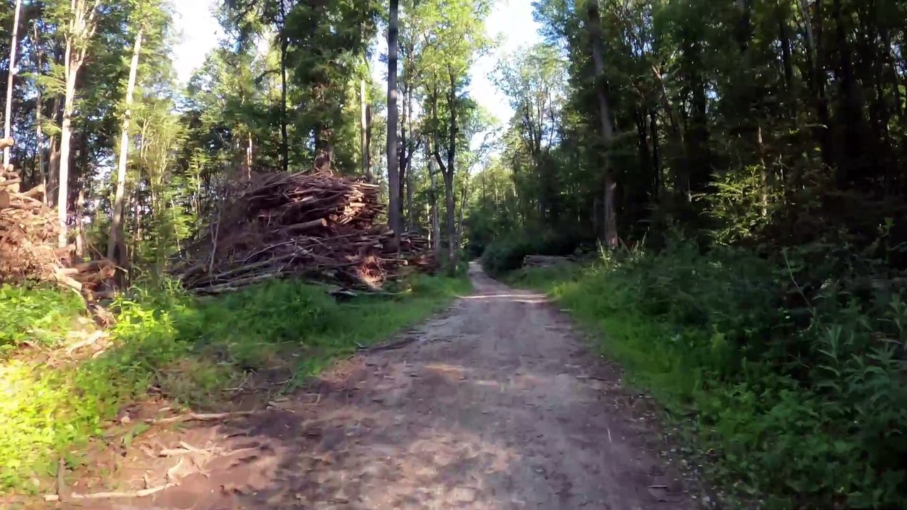 Zum Laaber Tor: MTB Lainzer Tiergarten-Strecke POV (11)