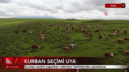 Kars’ta uzmanlardan kurban seçimi uyarısı