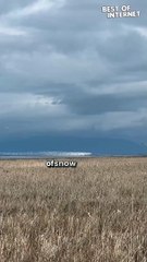 Nature's Magic! Snow Geese Paint the Sky with a Shimmering Ribbon