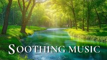 Beautiful Relaxing Music Stress Relief Soothing Music With Animal Video & Calm The Mind, Deep Sleep