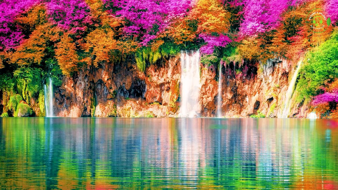 Relaxing Piano Music with Nature And Water SoundHealing & Relax with Birdsong & Peaceful Waterfall