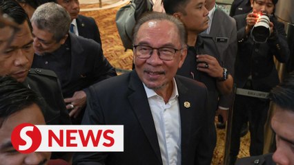 Measures in place for targeted diesel subsidy rollout, says Anwar
