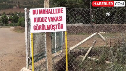 1 kişiyi ısıran köpek kuduz çıktı, mahalle 6 ay karantinaya alındı