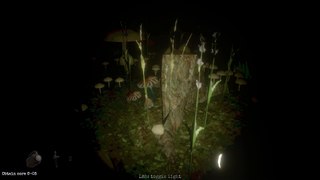 Mycelium - Playthrough (PSX-style horror game)