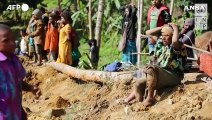 Frana Papua Nuova Guinea, proseguono le operazioni di ricerca sul luogo del disastro
