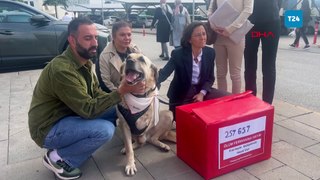 Hayvanseverlerden sokak köpekleri için bakanlığa 257 bin imza