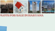 Property, Plots, Real Estate, Houses & Flats for Sale in HaryanaDialurban
