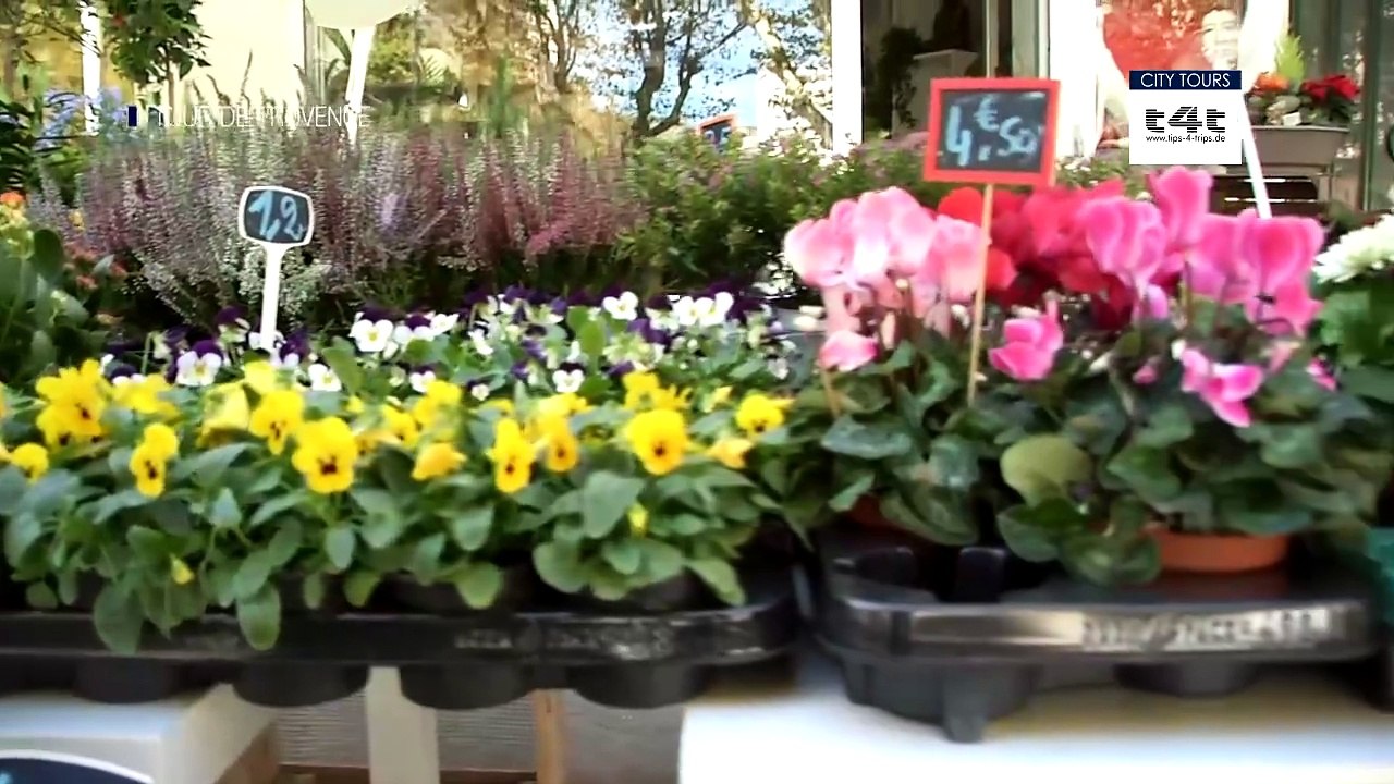 Tips-4-Trips - #Tipp154 -- Tour de Provence