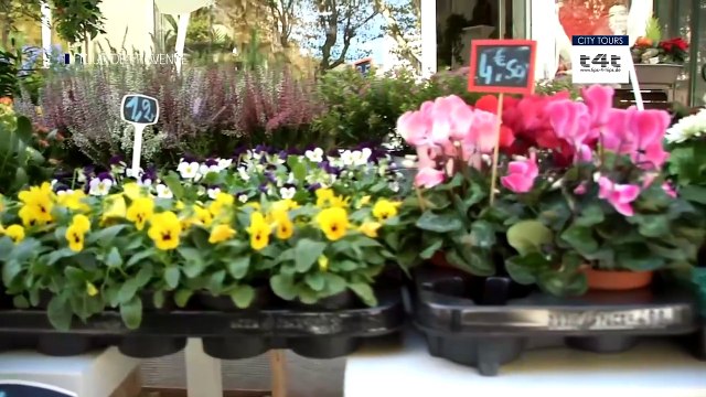 Tips-4-Trips - #Tipp154 Tour de Provence