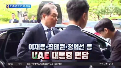 이재용·방시혁…UAE 대통령과 비공개 회동