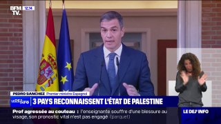 L'Espagne, la Norvège et l'Irlande reconnaissent la Palestine comme État