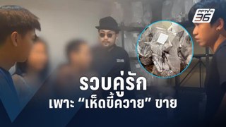 รวบคู่รัก เพาะ “เห็ดขี้ควาย” ขาย | PPTV Online