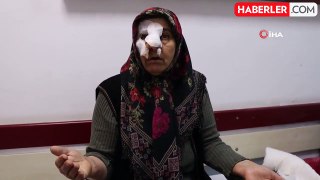 Erzurum'da Sokak Köpekleri Tarafından Saldırıya Uğrayan Kadın Kurtarıldı