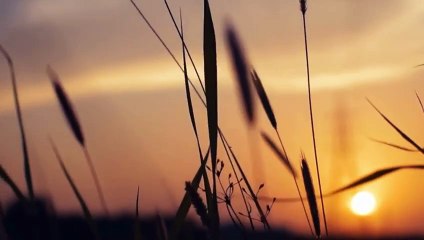 Elevate Your Lifestyle at Purva Aerocity: The Ultimate Residential Haven