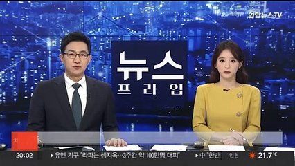 중국 '푸바오' 근황 생방송…"목 부분 털 채취…이상 없다"