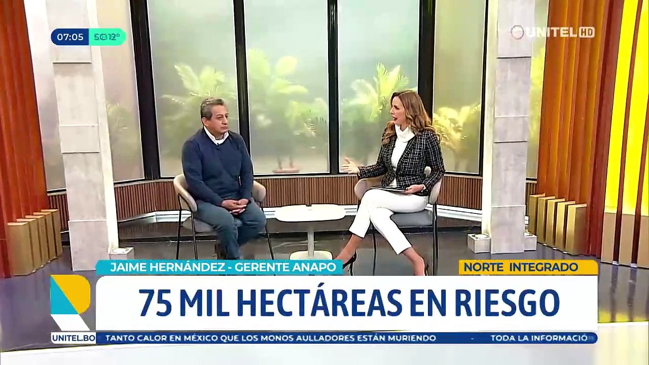 Anapo denuncia que hay 75 mil hectáreas en riesgo frente a avasallamientos en Santa Cruz