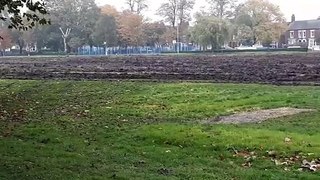 Comparison of Boston's Central Park before and after restoration