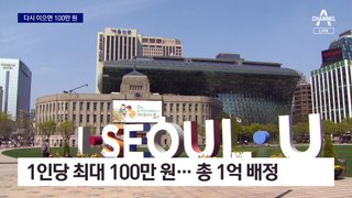 서울시, 정·난관 ‘복원’ 시술 지원…1인당 최대 100만 원