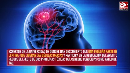 Hormona producida por el organismo puede prevenir el Alzheimer en fase inicial