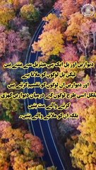 Motivation quotes about humanity