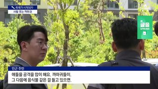 [취재가 시작되자]도심서 사람 공격하는 까마귀, 왜?